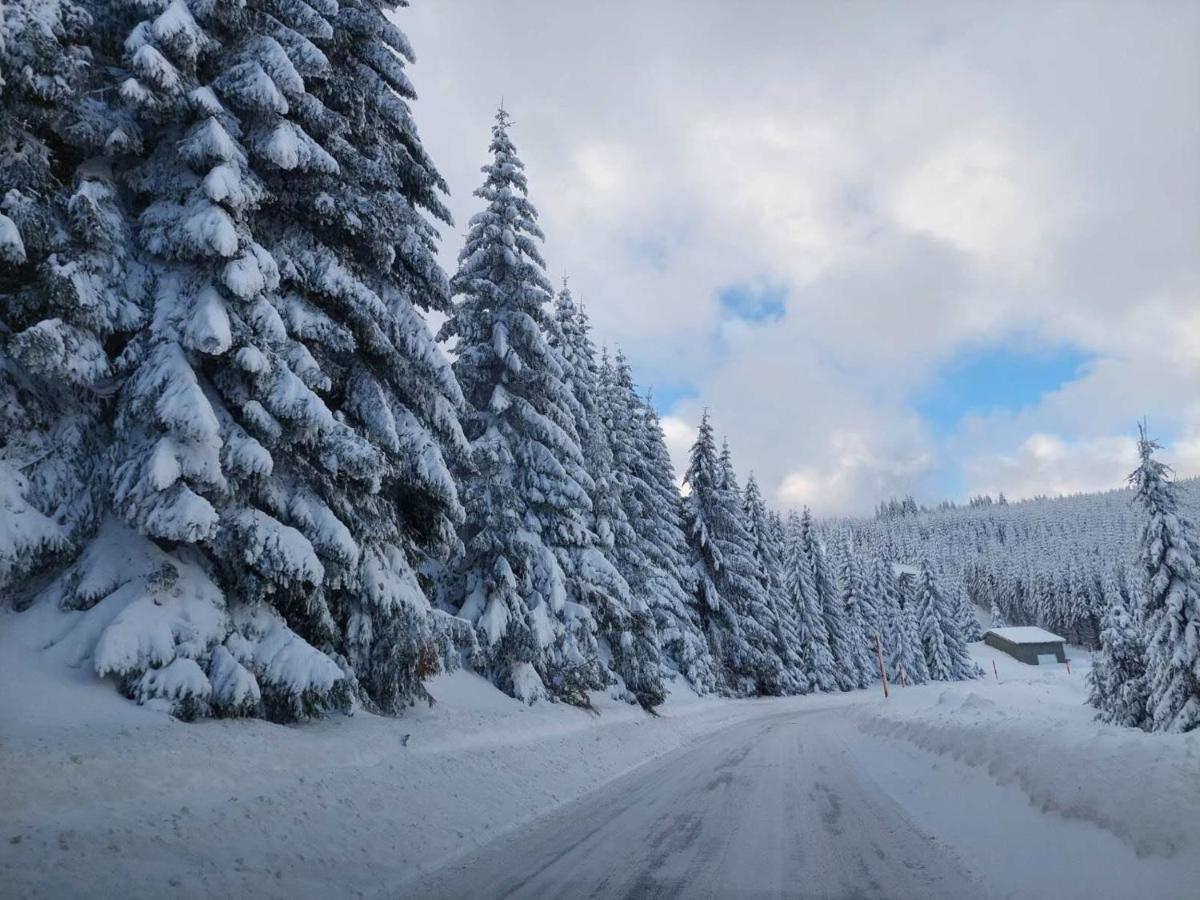 Apartman D&V Milmari Resort S10 Kopaonik Esterno foto